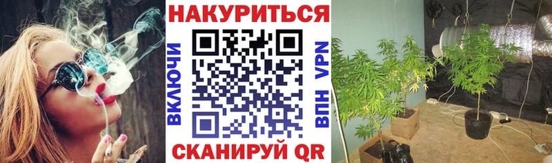 Купить  Гуково  МАРИХУАНА план 